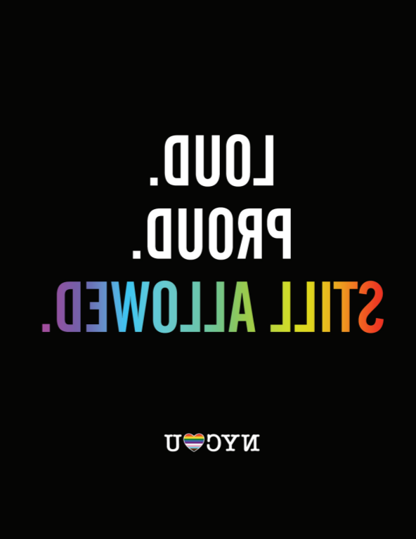 What does the 2+ mean in lgbtq2 +?