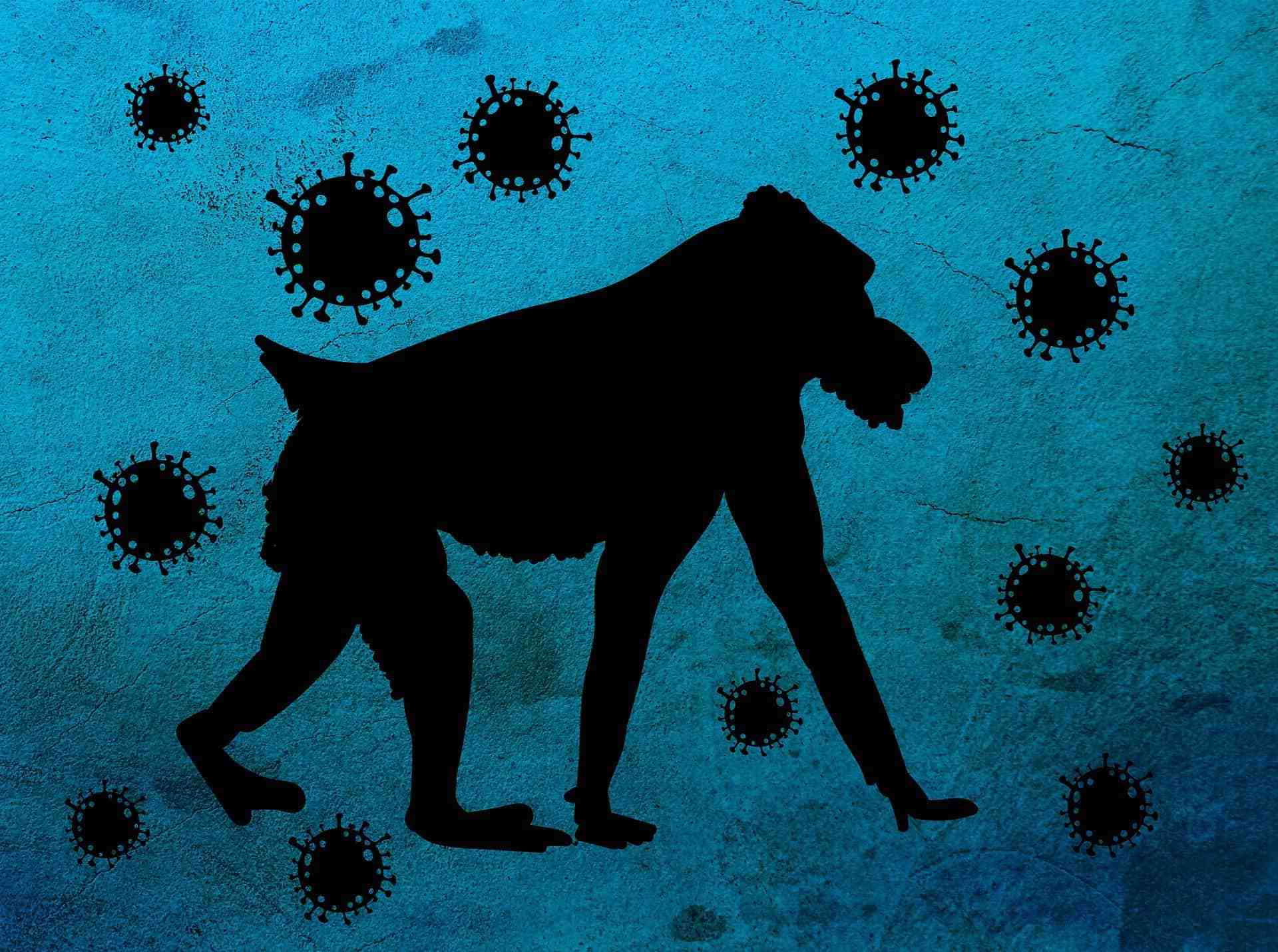 A worldwide outbreak likely fueled by sexual contact and travel
