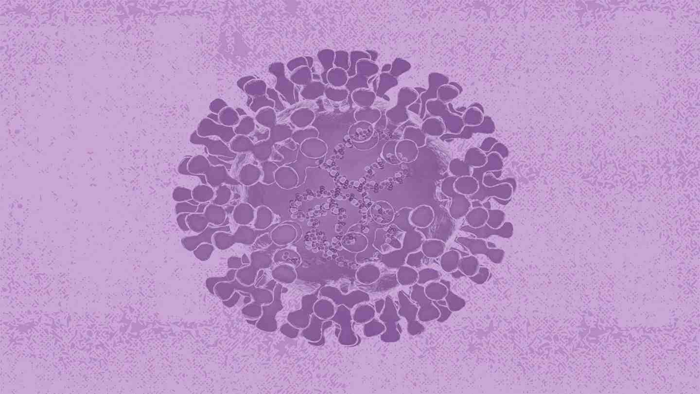 How does monkeypox affect the human body?