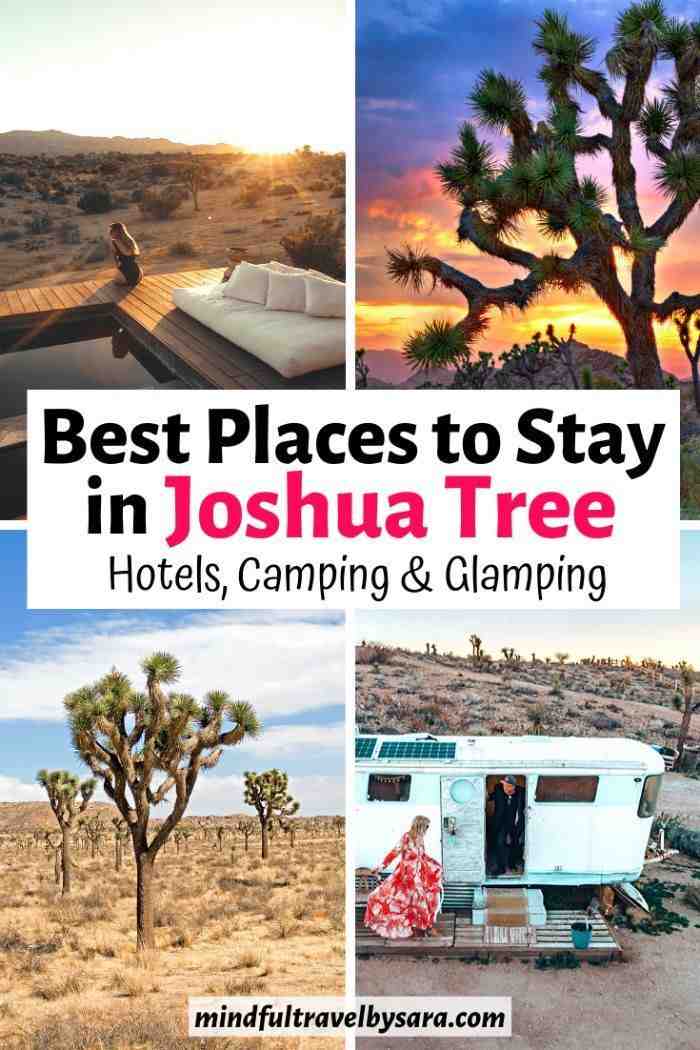 Are the roads paved in Joshua Tree National Park?