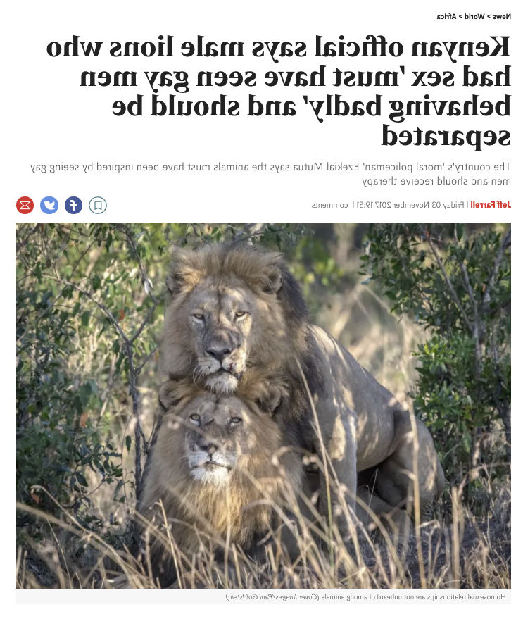 Can cats be gay?