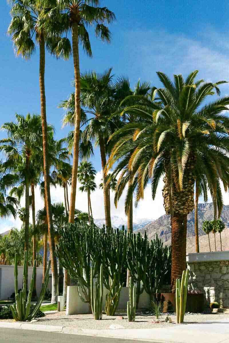 Is the drive from LA to Palm Springs Scenic?