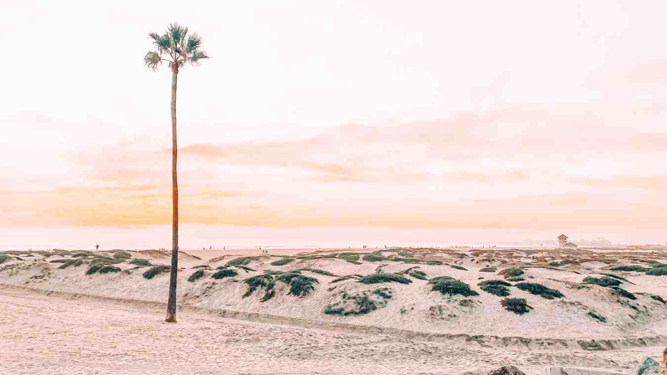 Should I go to San Diego or Los Angeles?