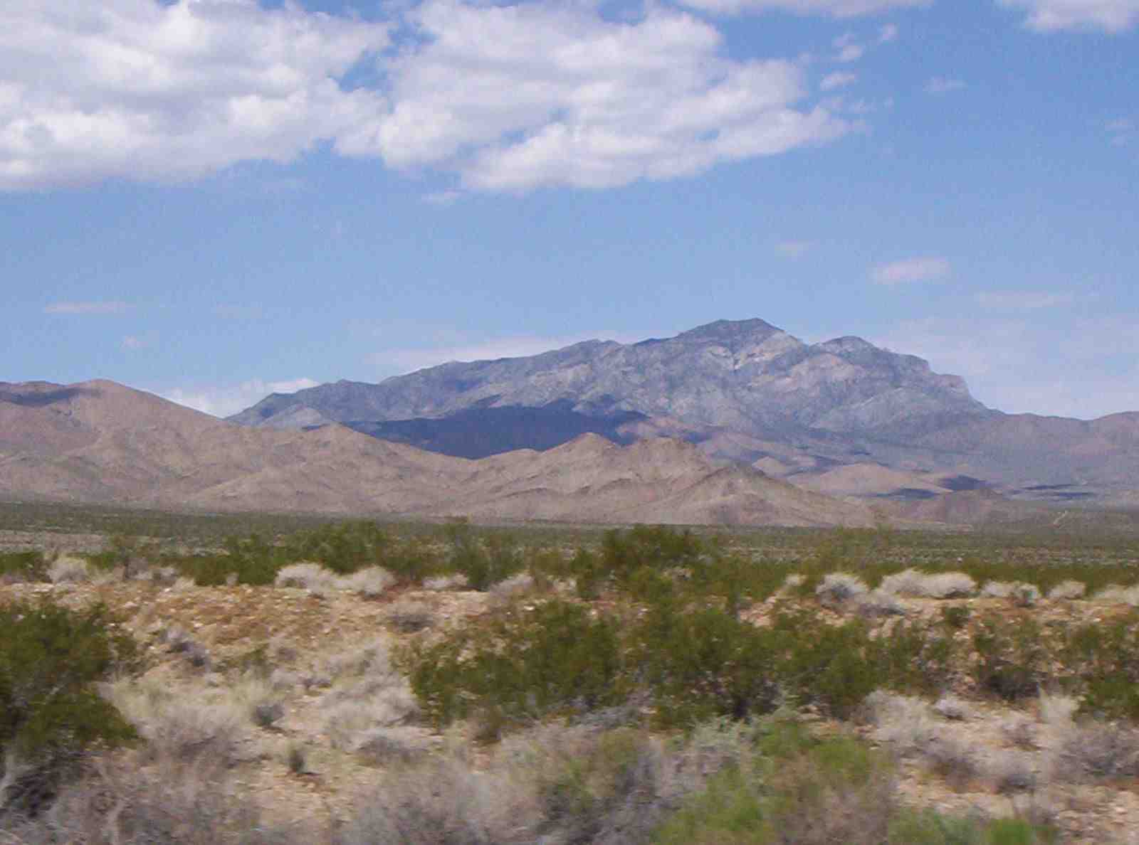 Where do celebrities go in Palm Springs?