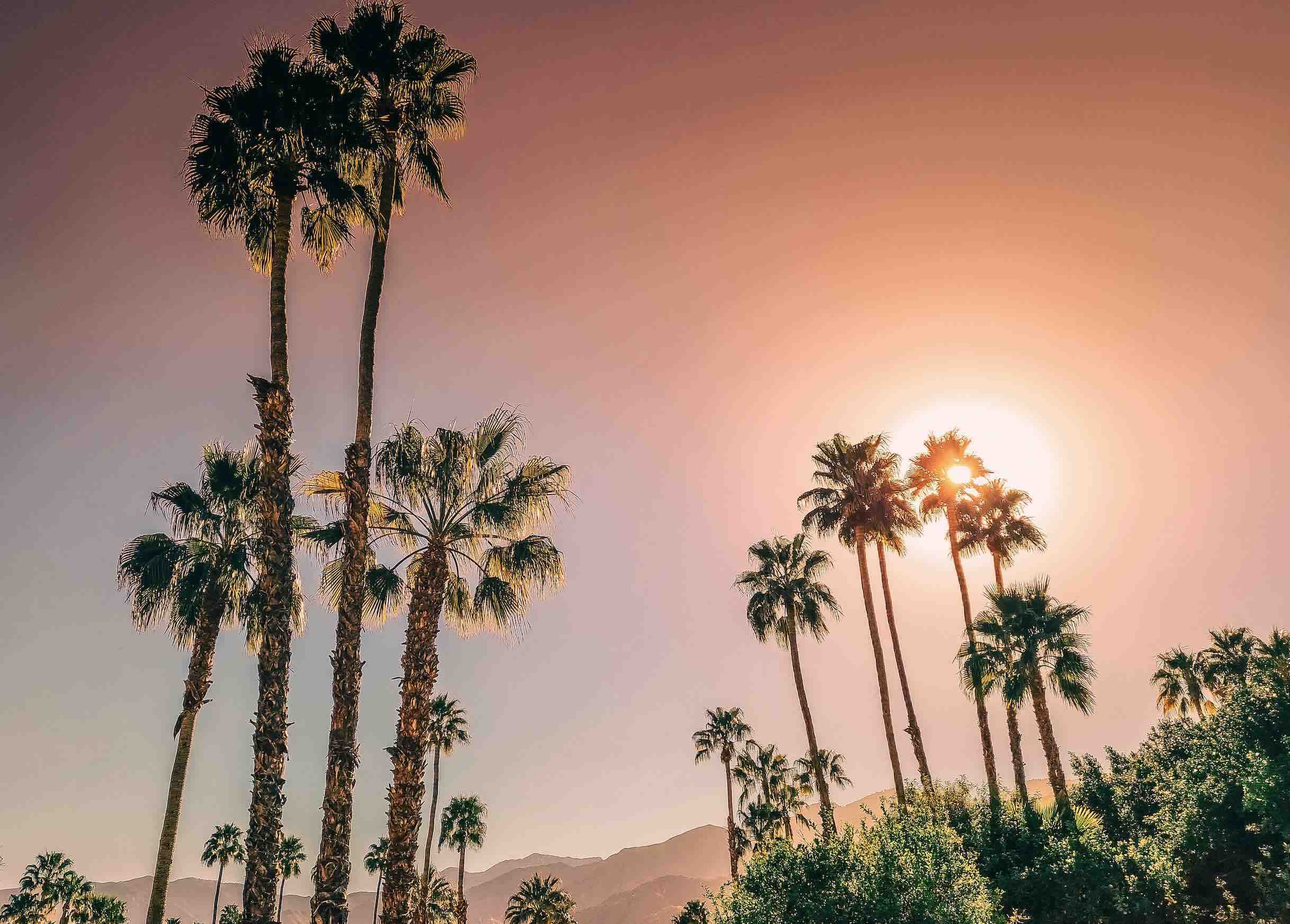 Which LA airport is closest to Palm Springs?