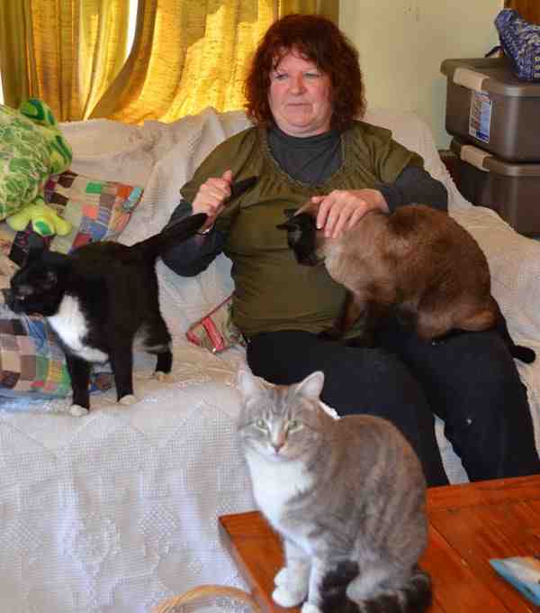 Which cat is dominant?