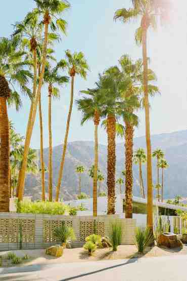 Is Palm Desert wealthy?