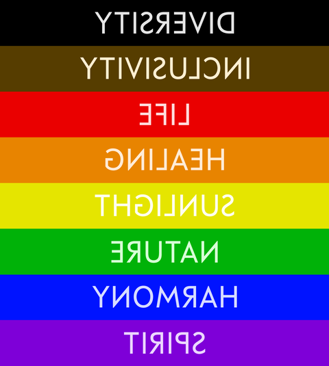 What is the color of LGBT flag?