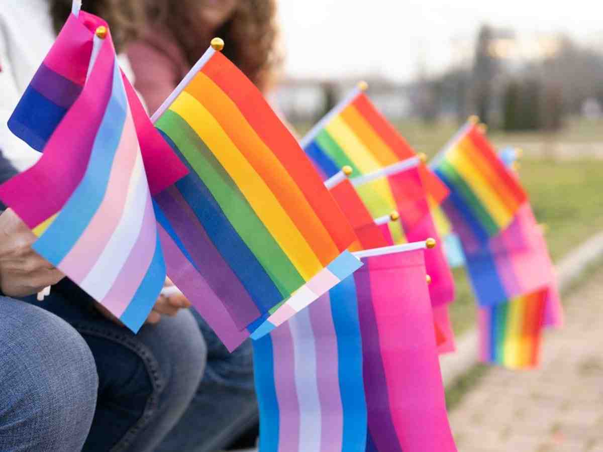 What is the difference between LGBT flag and rainbow?