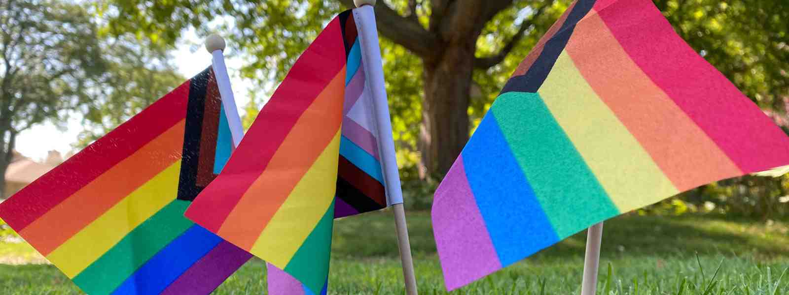 What is the most popular pride flag?