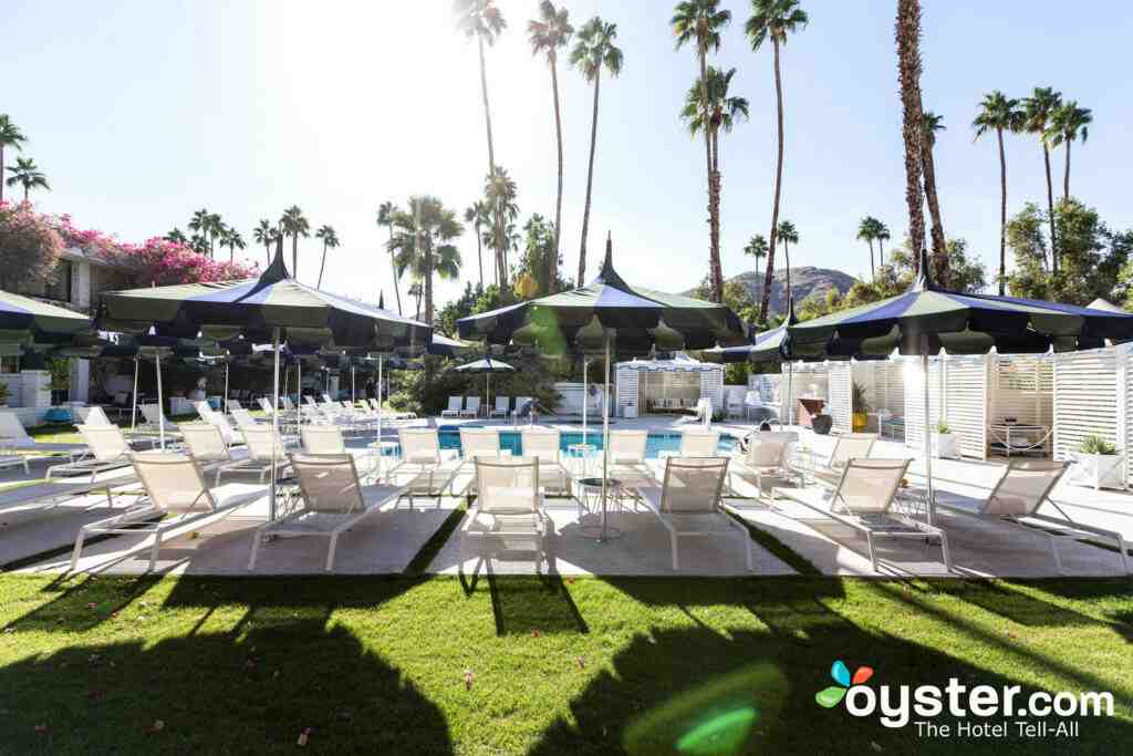 What is the point of the movie Palm Springs?