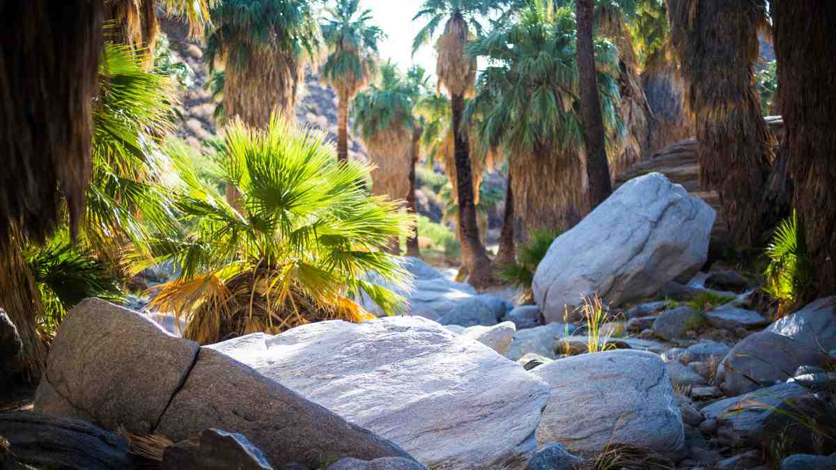 Where is Kris Jenner's Palm Springs house?